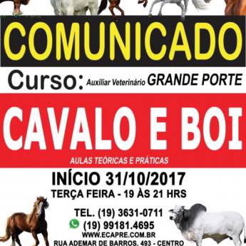 Comprar o produto de Curso de Auxiliar de veterinário para animais de grande porte em A Classificar em São João da Boa Vista, SP por Solutudo