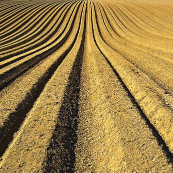 Comprar o produto de Planejamento da lavoura  em Kits para Plantar em Curitiba, PR por Solutudo