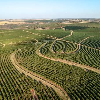 Comprar o produto de Elaboração de curvas de nível e modelo digital do terreno e superfície em Indústria Agrícola em Curitiba, PR por Solutudo