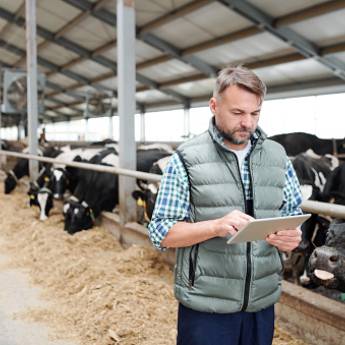 Comprar o produto de Aplicações para pecuária de precisão em Indústria Agropecuária em Curitiba, PR por Solutudo