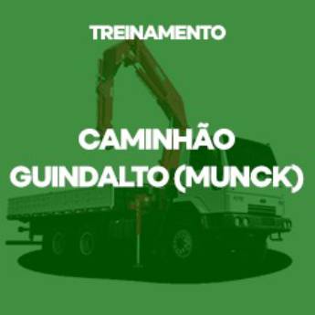 Comprar o produto de Caminhão Guindauto (Munck) em Cursos Profissionalizantes em Itatinga, SP por Solutudo