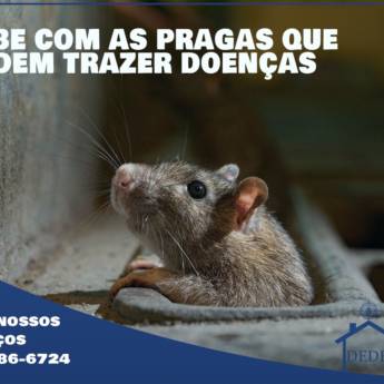 Comprar o produto de Acabe com as Pragas que podem trazer doenças em Dedetização em Jaú, SP por Solutudo