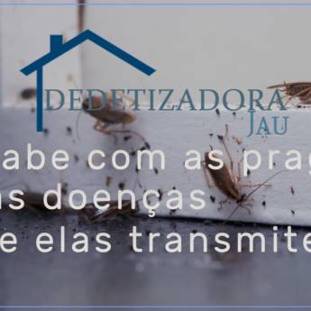 Comprar o produto de Dedetização Especializada em Pragas em Dedetização em Jaú, SP por Solutudo