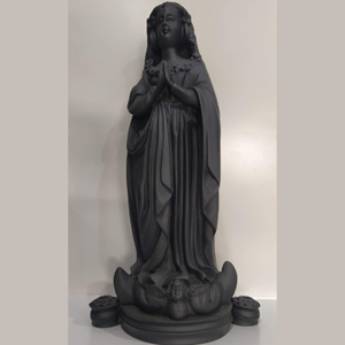 Comprar o produto de Nossa Senhora Aparecida Resina de 35cm Fac Simile sem Manto em Artigos Religiosos em Aparecida, SP por Solutudo