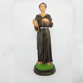 Comprar o produto de Imagem de Frei Galvão 20cm em Resina em Artigos Religiosos em Aparecida, SP por Solutudo