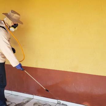 Comprar o produto de Desinsetização em Dedetização em Campo Grande, MS por Solutudo