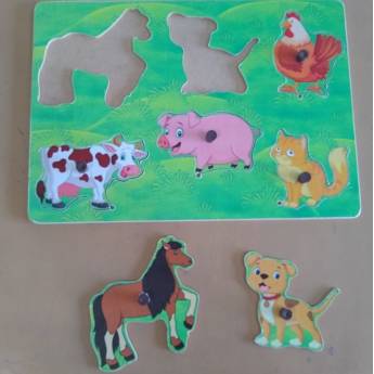 Comprar o produto de ENCAIXE DOS ANIMAIS DOMÉSTICOS em Jogos Educativos em Gravatá, PE por Solutudo