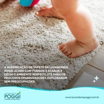 Comprar o produto de Higienização de Tapetes Persas e outros modelos  em Armário para Lavanderia pela empresa Lavanderia Poggi em Cerquilho, SP por Solutudo