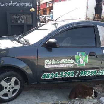 Comprar o produto de Taxi Dog em Clínicas Veterinárias em Ribeirão Pires, SP por Solutudo