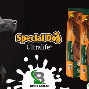Comprar o produto de Ração Special Dog em Ração para Cachorros em Botucatu, SP por Solutudo