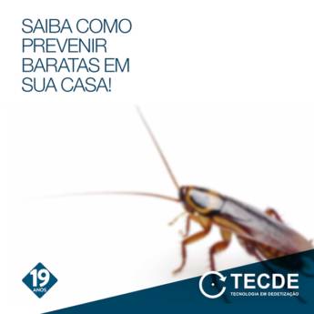 Comprar o produto de Desinsetização em Dedetização em Tatuí, SP por Solutudo