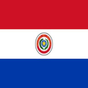 Comprar o produto de Bandeira do Paraguai em Bandeiras em Birigui, SP por Solutudo