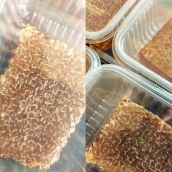 Comprar o produto de Apiário Dalpubel  em Apiários - Mel e Derivados em Lençóis Paulista, SP por Solutudo