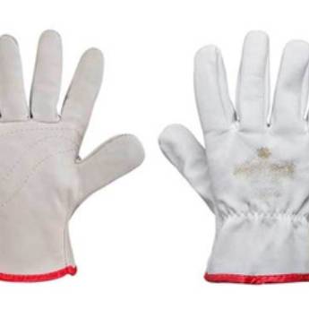 Comprar o produto de LUVA VAQUETA - ZANEL em Luvas de Segurança em Aracaju, SE por Solutudo