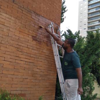 Comprar o produto de Pintura em Pintura em Araçatuba, SP por Solutudo