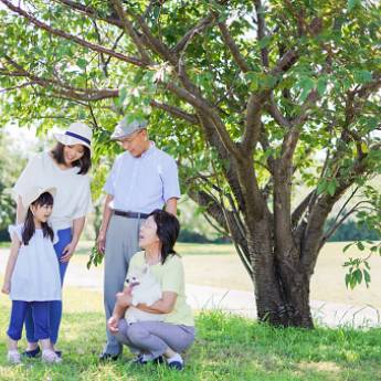 Comprar o produto de Seguro Viagem em Seguros em Jaguariúna, SP por Solutudo