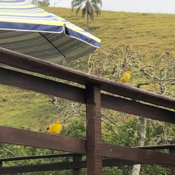 Comprar o produto de Pousada Água Limpa em Pousadas em Virgínia, MG por Solutudo