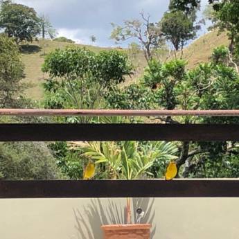 Comprar o produto de Pousada Água Limpa em Pousadas em Virgínia, MG por Solutudo