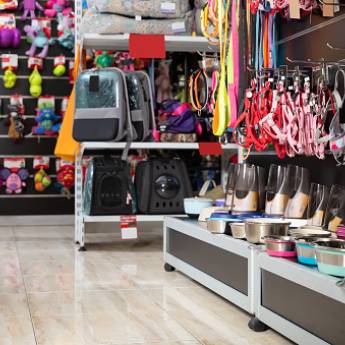 Comprar o produto de Acessórios Para Pet em Acessórios em Lençóis Paulista, SP por Solutudo