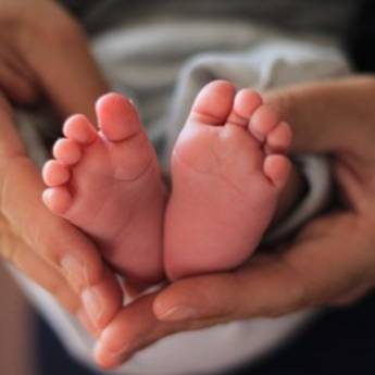 Comprar o produto de Teste do Pezinho em Exames  em Picos, PI por Solutudo