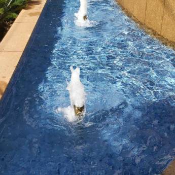 Comprar o produto de Chafariz em Piscinas em Suzano, SP por Solutudo
