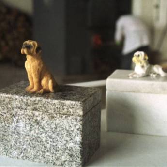 Comprar o produto de Crematório Pet em Cemitérios e Crematórios de Animais em Alagoinhas, BA por Solutudo