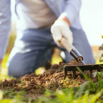 Comprar o produto de Jardinagem em Geral  em Jardinagem em Mineiros, GO por Solutudo