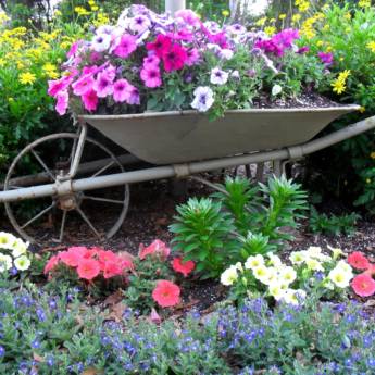 Comprar produto Plantio e manutenção de jardins  em Jardinagem pela empresa Jardineiro De Plantão em Mineiros, GO