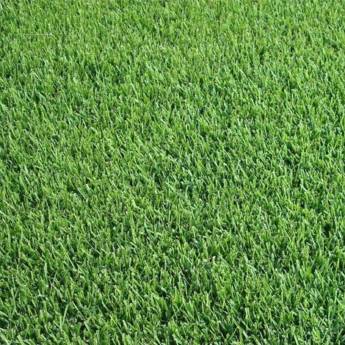 Comprar o produto de Grama Bermudas em Grama em Ninho Verde II Eco Residence, SP por Solutudo