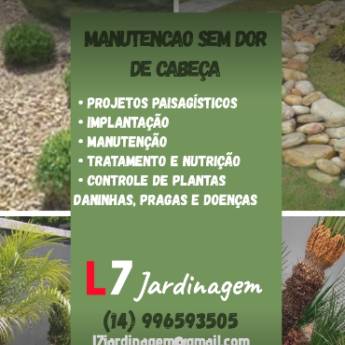 Comprar o produto de Manutenção de jardim em Jardinagem em Botucatu, SP por Solutudo