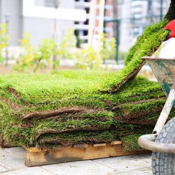 Comprar o produto de Troca Completa de Gramado em Limpeza de Jardins em Bauru, SP por Solutudo
