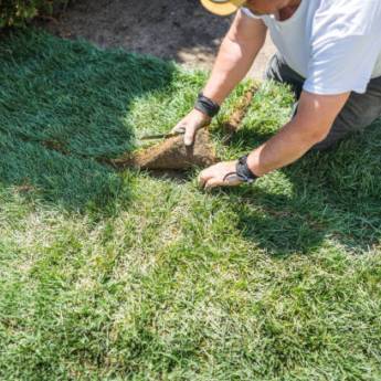 Comprar o produto de Plantação de Grama   em Limpeza de Jardins em Bauru, SP por Solutudo