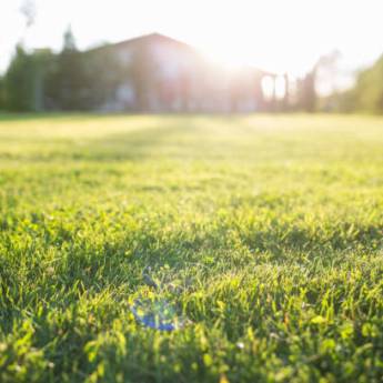 Comprar o produto de Nivelamento de Terreno em Limpeza de Jardins em Bauru, SP por Solutudo