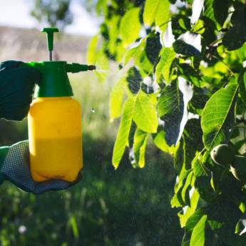 Comprar o produto de Tratamento de Doenças em Limpeza de Jardins em Bauru, SP por Solutudo