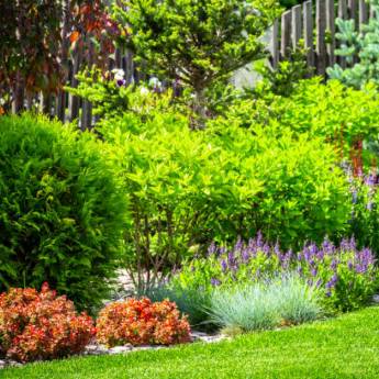 Comprar o produto de Restauração de Jardins em Limpeza de Jardins em Bauru, SP por Solutudo
