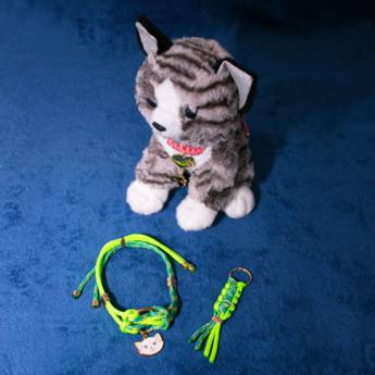 Comprar o produto de Guia e Coleira Pet em Arte e Artesanato em Jundiaí, SP por Solutudo