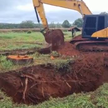 Comprar o produto de Destoca de Eucalipto (Pequeno e Grande Porte) em Terraplanagens em Botucatu, SP por Solutudo