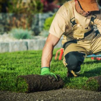 Comprar o produto de Paisagismo em Jardinagem pela empresa Flora Bonfim em Senhor do Bonfim, BA por Solutudo