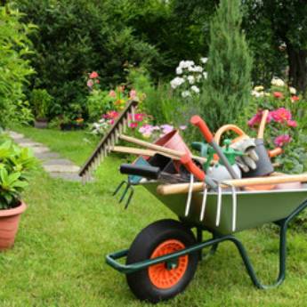 Comprar o produto de Recuperação de Jardins em Jardinagem pela empresa Flora Bonfim em Senhor do Bonfim, BA por Solutudo