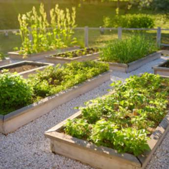 Comprar o produto de Planejamento de Hortas  em Jardinagem em Senhor do Bonfim, BA por Solutudo