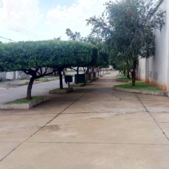 Comprar o produto de Terceirização de serviços de Limpeza e Conservação em Paisagismo em Senador Canedo, GO por Solutudo