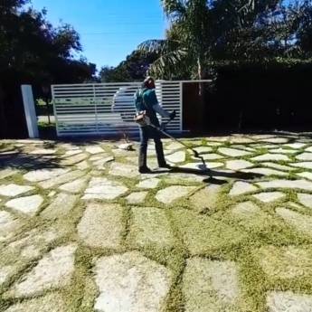 Comprar o produto de Limpeza e conservação de Condomínos em Jardinagem em Senador Canedo, GO por Solutudo
