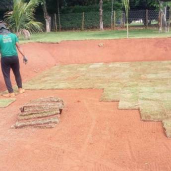 Comprar o produto de Plantiu de Grama em Jardinagem em Senador Canedo, GO por Solutudo