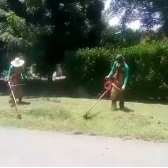 Comprar o produto de Jardinagem em Jardinagem em Senador Canedo, GO por Solutudo