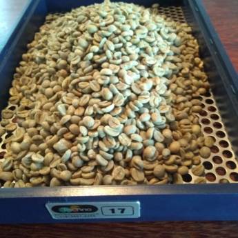Comprar o produto de Café Verde em Cafés em Almirante Tamandaré, PR por Solutudo