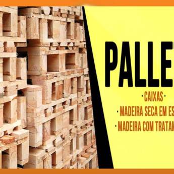 Comprar o produto de Palletes em Pallets em Guarulhos, SP por Solutudo