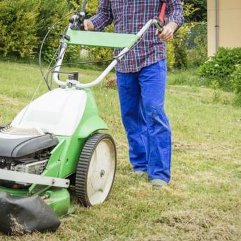 Comprar o produto de Limpeza de Jardins em Limpeza de Jardins em Resende, RJ por Solutudo