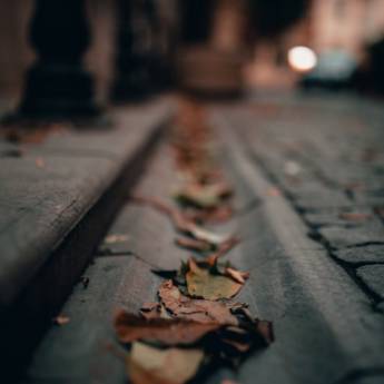 Comprar o produto de Limpeza de Calhas em Calhas - Inox em Iaras, SP por Solutudo