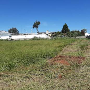 Comprar o produto de Roçada com máquina costal​ em Jardinagem em Iaras, SP por Solutudo