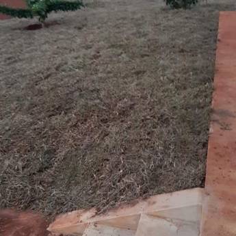 Comprar o produto de Plantio de gramas em Jardinagem em Iaras, SP por Solutudo